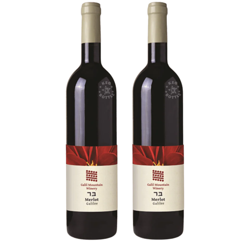 Galil Mountain Merlot Galilee Wine - Pack of 2 (2x750mL)